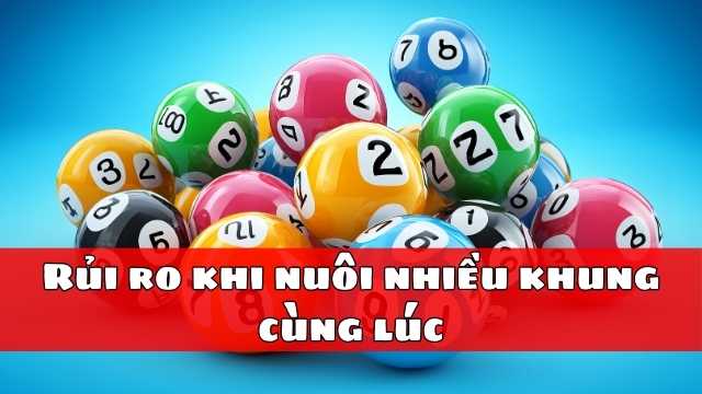 Rủi ro khi nuôi nhiều khung cùng lúc