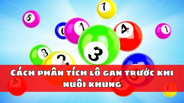 Cách phân tích lô gan trước khi nuôi khung Cách phân tích lô gan trước khi nuôi khung
