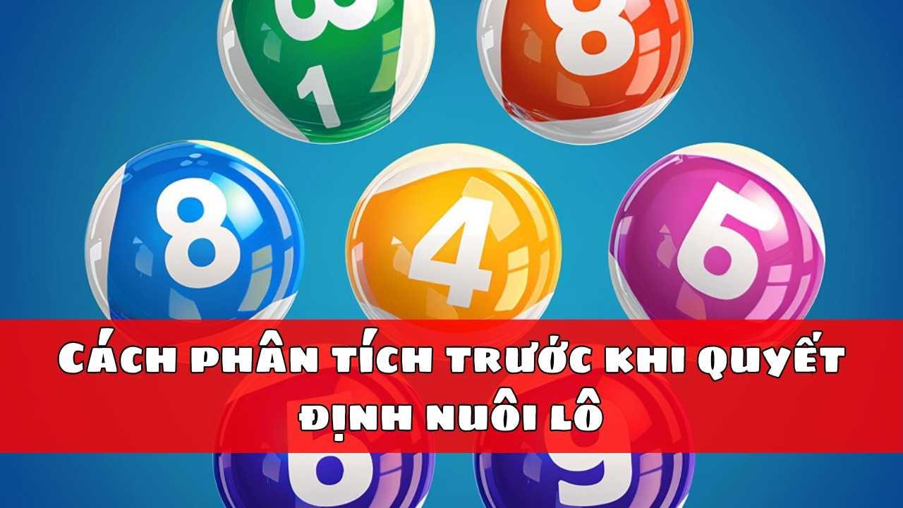 Cách phân tích trước khi quyết định nuôi lô