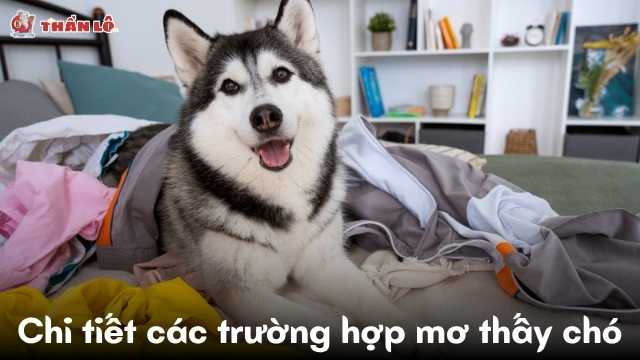 Giải mã chi tiết các trường hợp mơ thấy chó