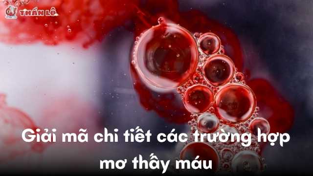 Giải mã chi tiết các trường hợp mơ thấy máu Giải mã chi tiết các trường hợp mơ thấy máu