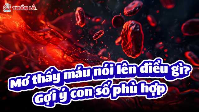 Giấc mơ thấy máu nói lên điều gì? Gợi ý con số phù hợp Giấc mơ thấy máu nói lên điều gì? Gợi ý con số phù hợp