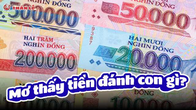 Mơ thấy tiền đánh con gì Mơ thấy tiền đánh con gì