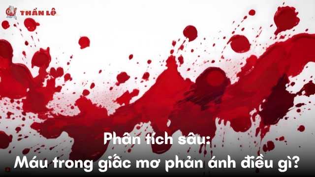 Phân tích sâu: Máu trong giấc mơ phản ánh điều gì Phân tích sâu: Máu trong giấc mơ phản ánh điều gì