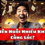 Có Nên Nuôi Nhiều Khung Cùng Lúc