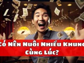 Có Nên Nuôi Nhiều Khung Cùng Lúc