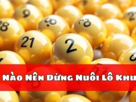 Khi Nào Nên Dừng Nuôi Lô Khung?