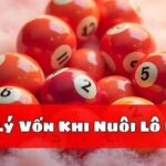 Quản Lý Vốn Khi Nuôi Lô Khung