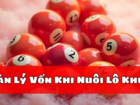 Quản Lý Vốn Khi Nuôi Lô Khung