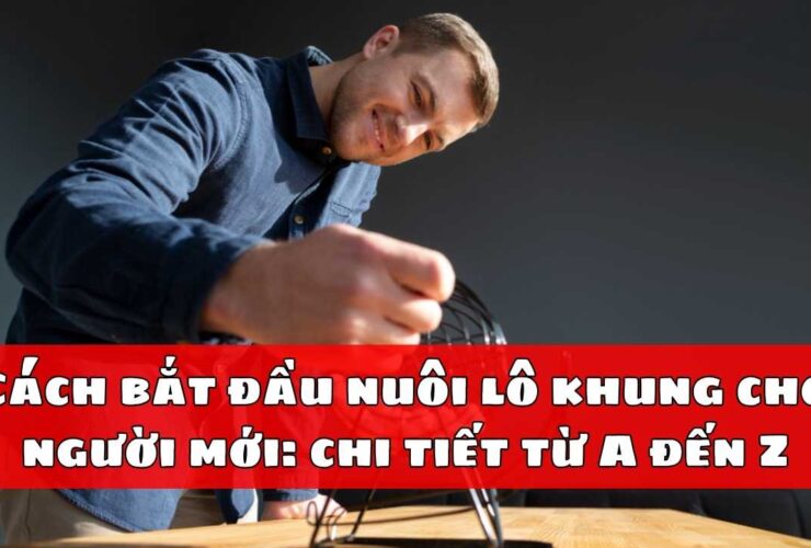 Cách bắt đầu nuôi lô khung cho người mới