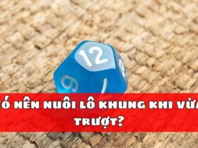 Có nên nuôi lô khung khi vừa trượt?
