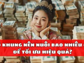 Lô khung nên nuôi bao nhiêu con để tối ưu hiệu quả?