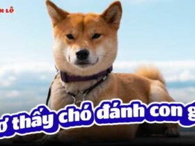 Mơ thấy chó đánh con gì