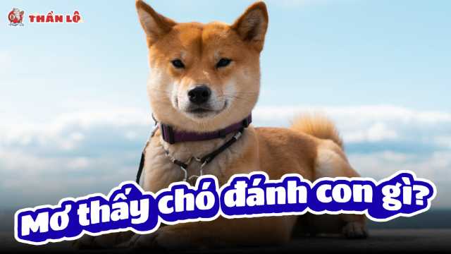 Mơ thấy chó đánh con gì