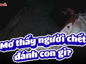 Mơ thấy người chết đánh con gì