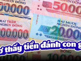 Mơ thấy tiền đánh con gì