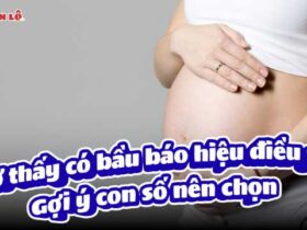 Nằm mơ thấy có bầu báo hiệu điều gì - Gợi ý con số nên chọn